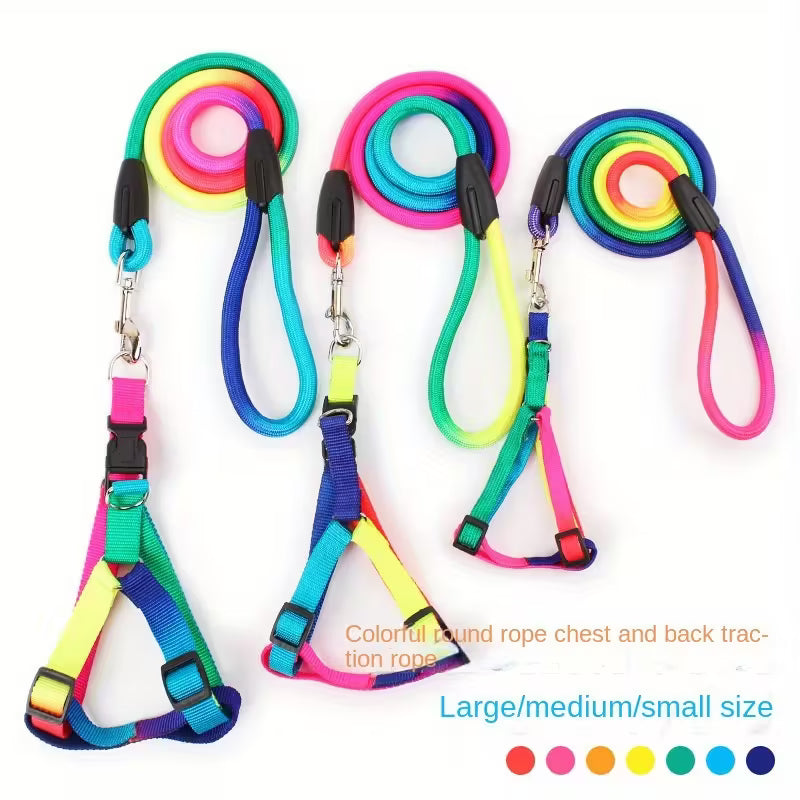 Rainbow Harness and Leash Set