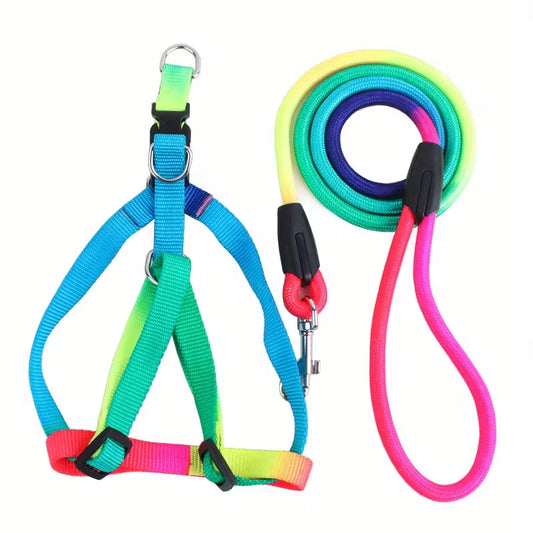 Rainbow Harness and Leash Set