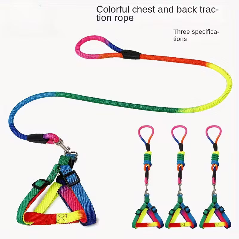 Rainbow Harness and Leash Set