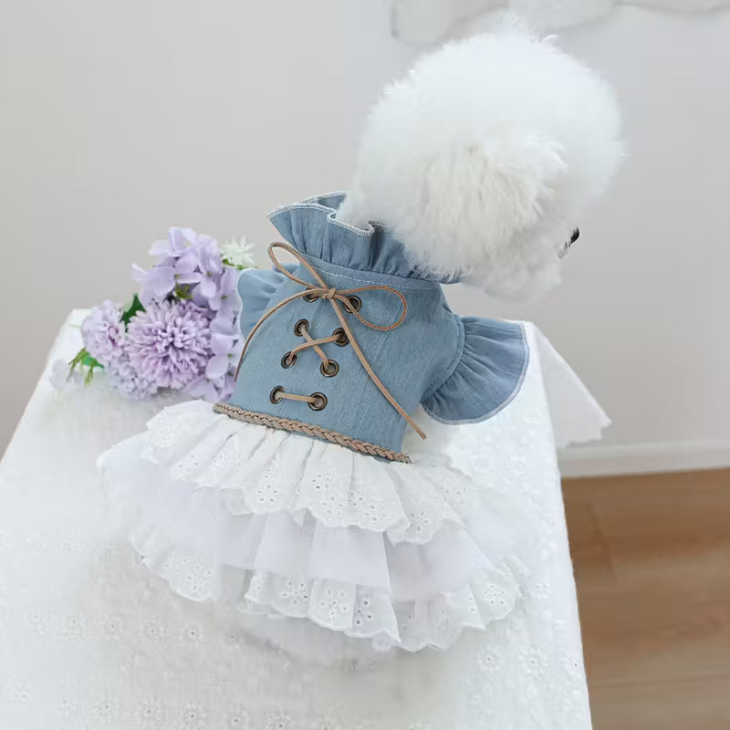 Denim Fabric Princess Style Pet Dress