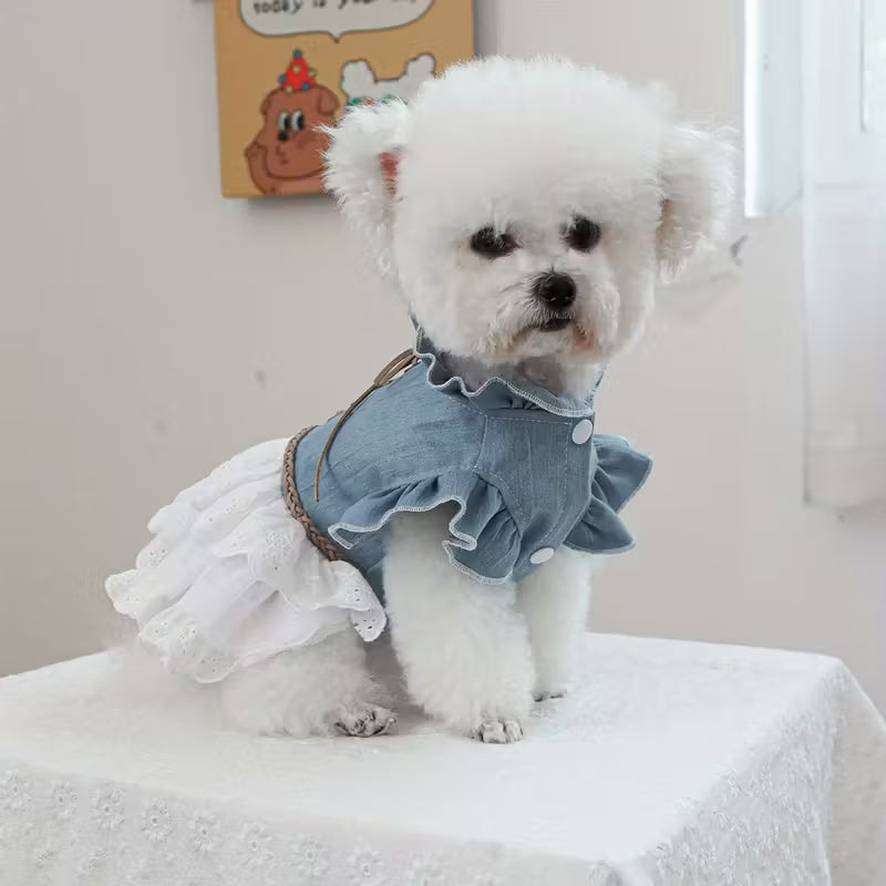 Denim Fabric Princess Style Pet Dress