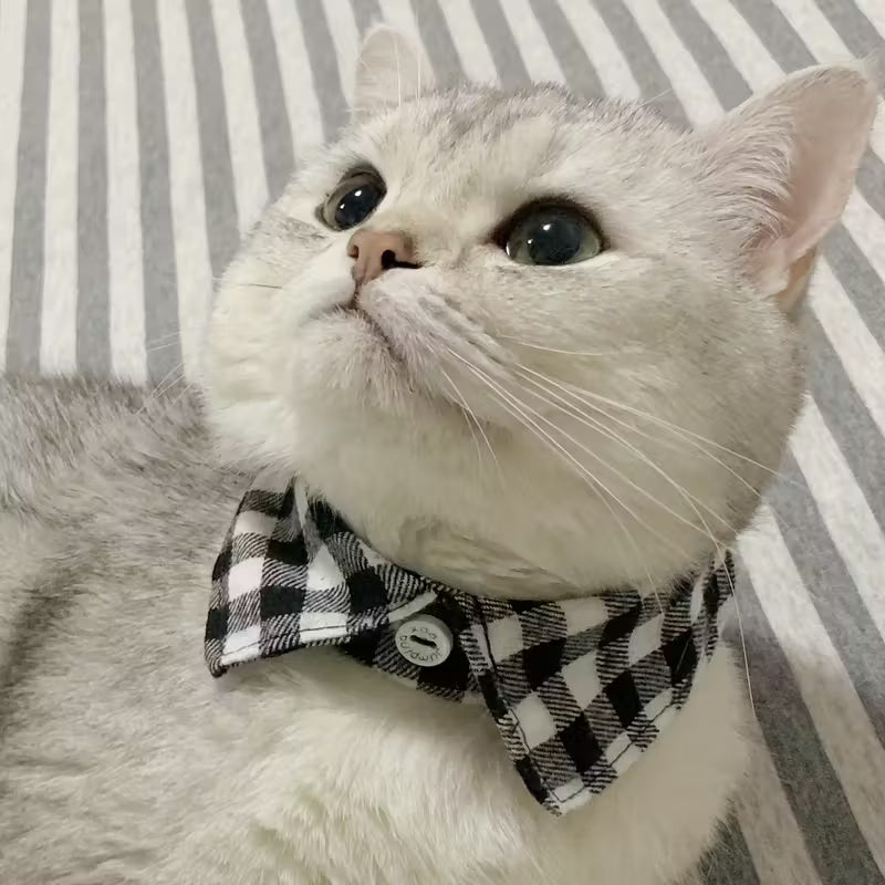 Plaid Check Pet Collar