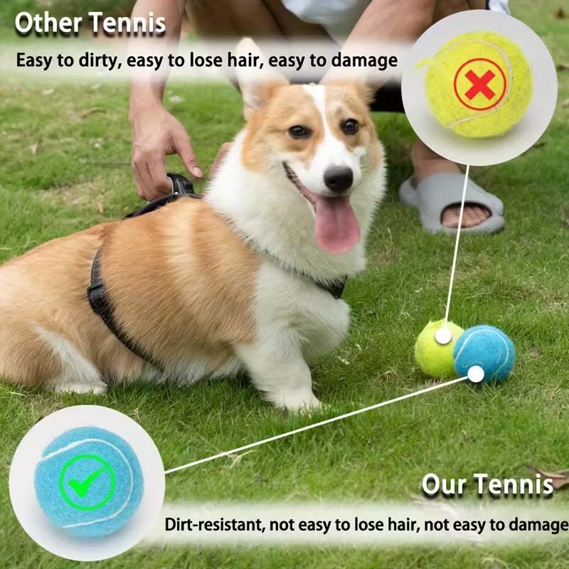 5pcs Rubber Pastel Pet Tennis Balls