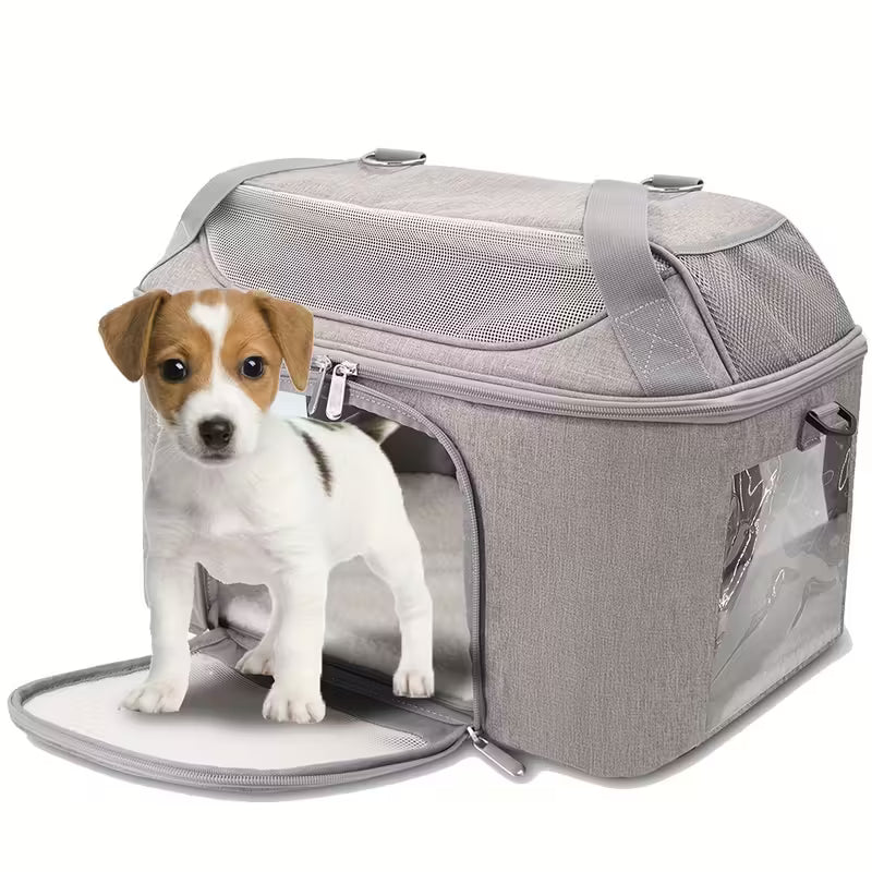 Pet Travel Carrier
