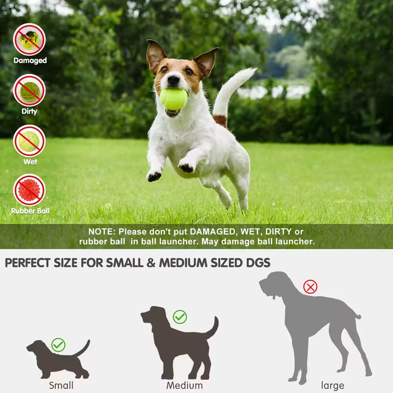 Automatic Ball Launcher for Dogs