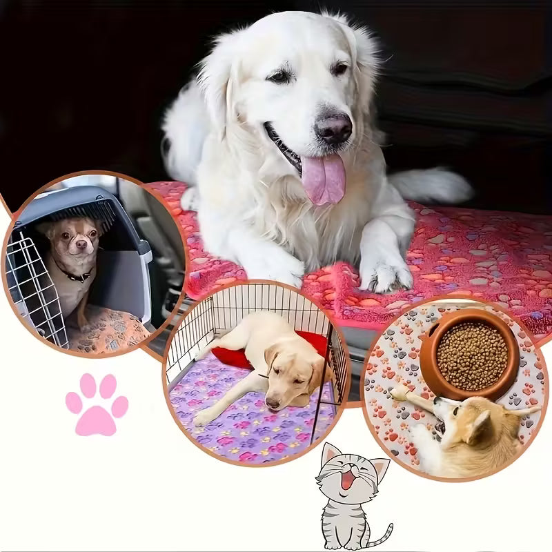 Soft Pet Blanket Set Pack of 10