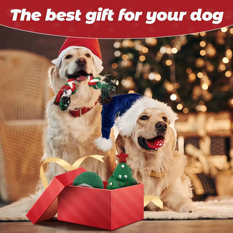 Christmas Stocking Gift of Dog Chew Toy Set