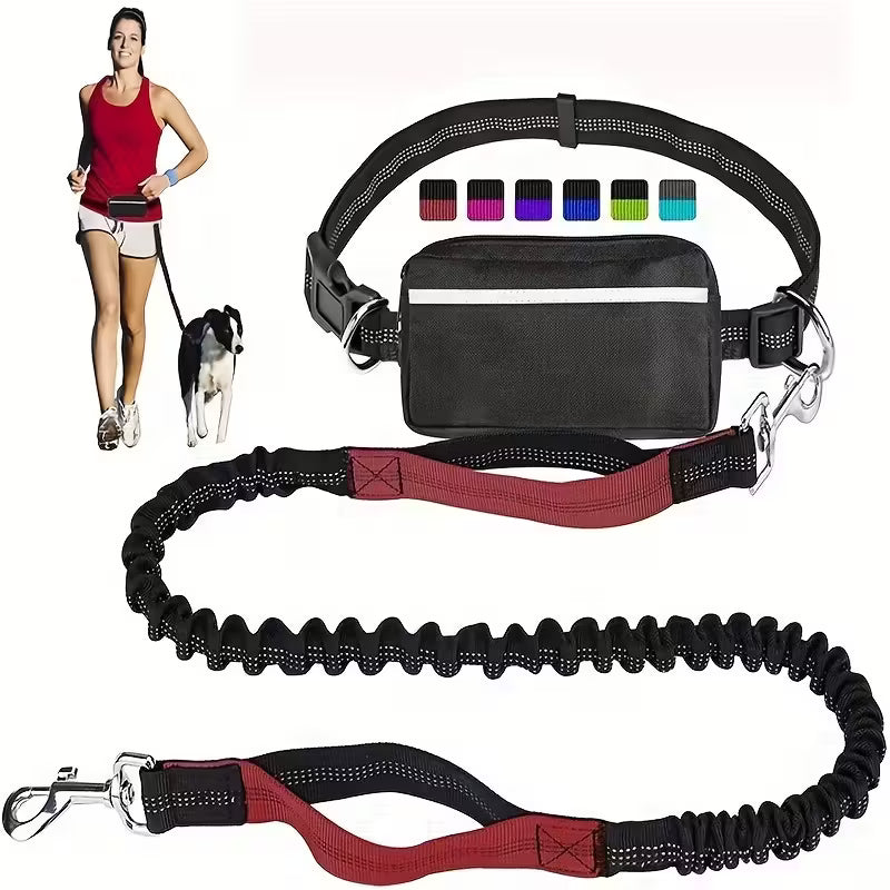 Adjustable Dog Leash & Waist Pack Combo