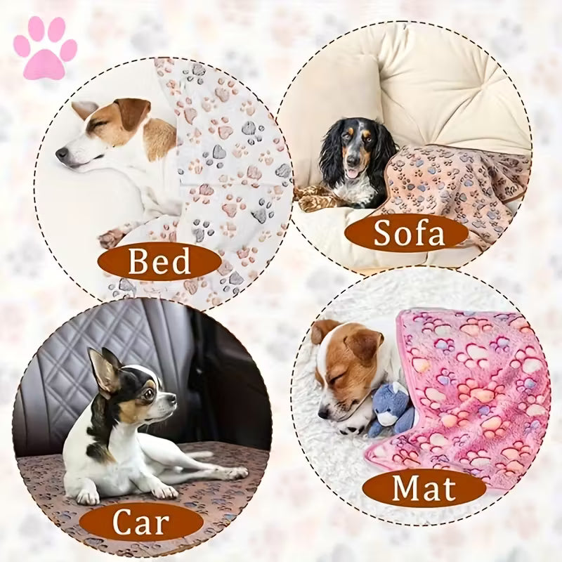 Soft Pet Blanket Set Pack of 10