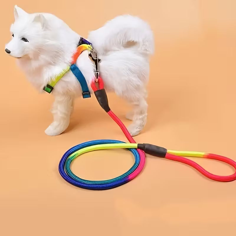 Rainbow Harness and Leash Set