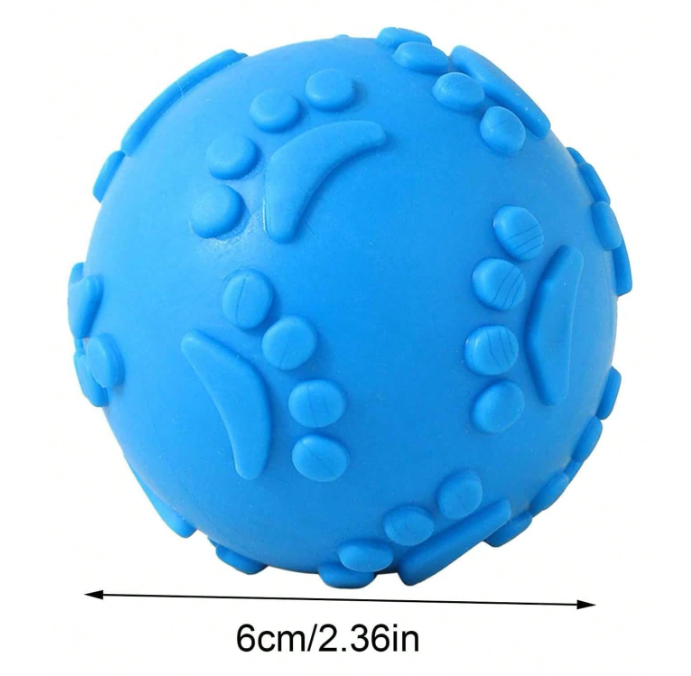 Squeaky Round Ball Toy
