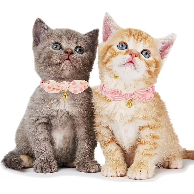 Pink & White Striped Bow Design Pet Collar