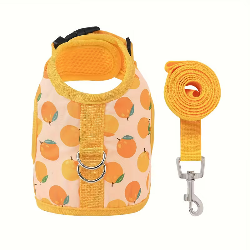Soft Adjustable Cat Harness with Leash