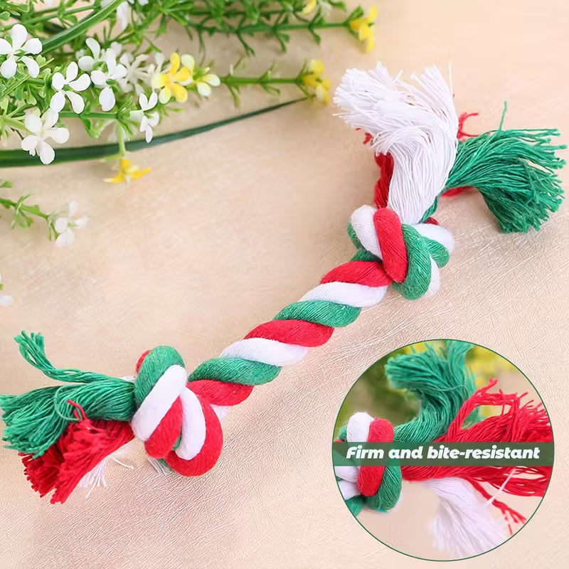 Christmas Stocking Gift of Dog Chew Toy Set