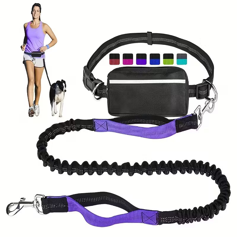 Adjustable Dog Leash & Waist Pack Combo