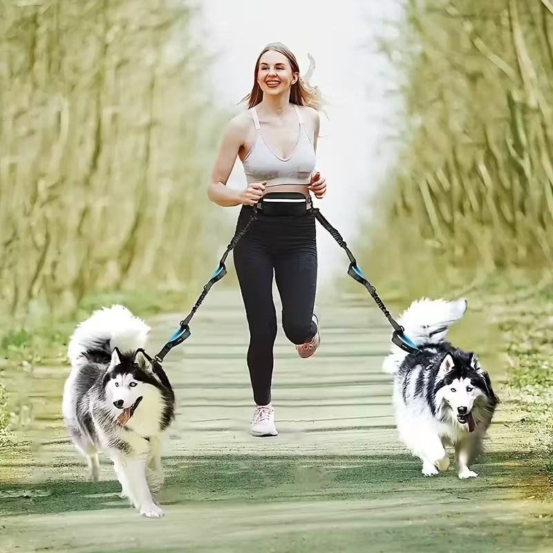 Adjustable Hands-Free Dog Running Leash with Double Handles & Elastic Retractable Rope