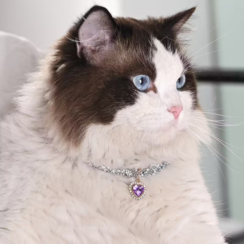 Elegant Rhinestone Diamond Collar