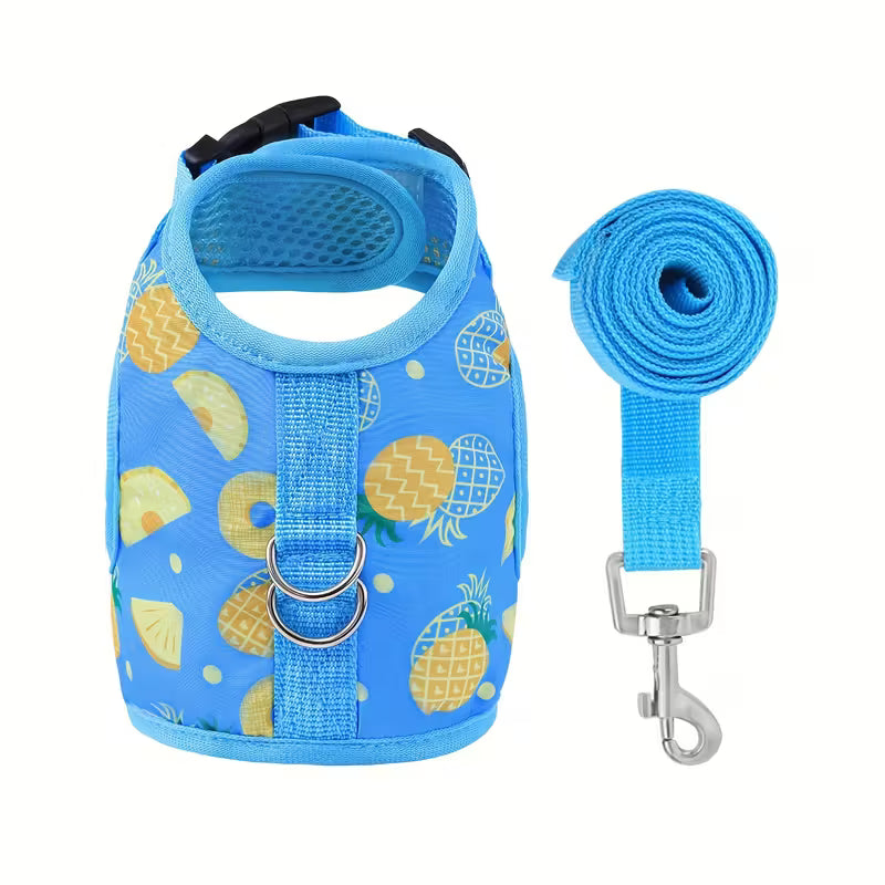 Soft Adjustable Cat Harness with Leash