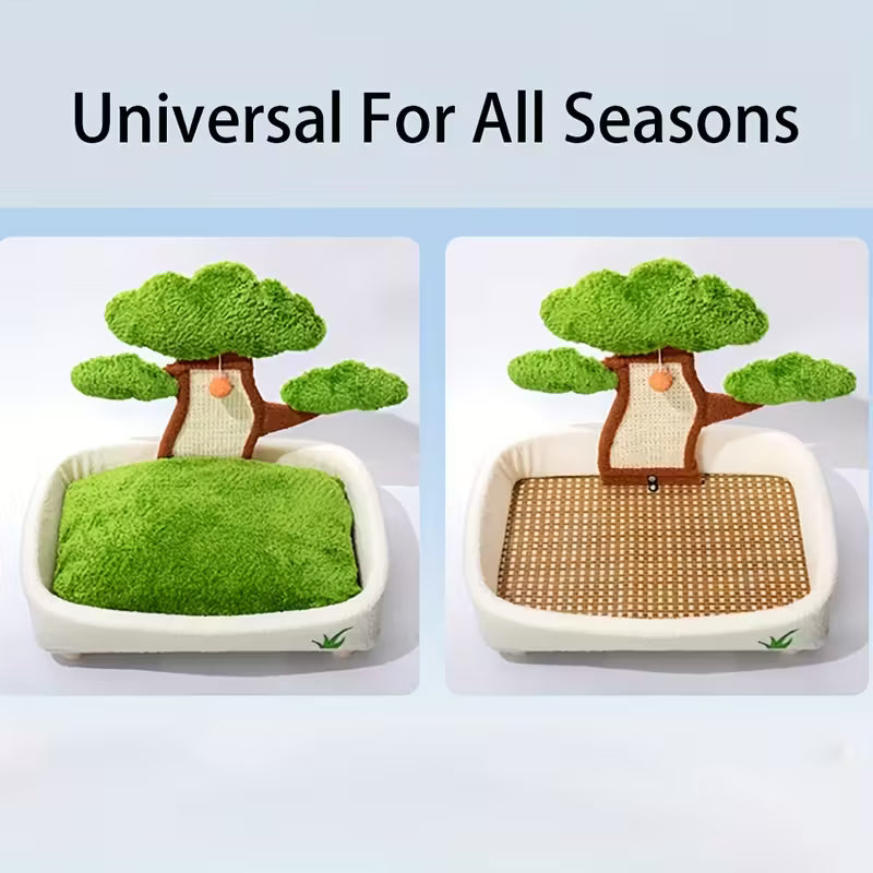 All-in-One Baobab Tree Cat Bed & Scratch Post