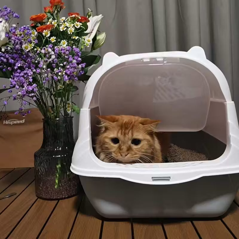 Modern Style Cat Litter Box with Scoop