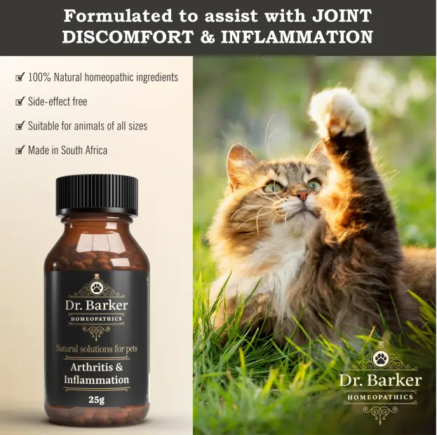 Arthritis & Inflammation
