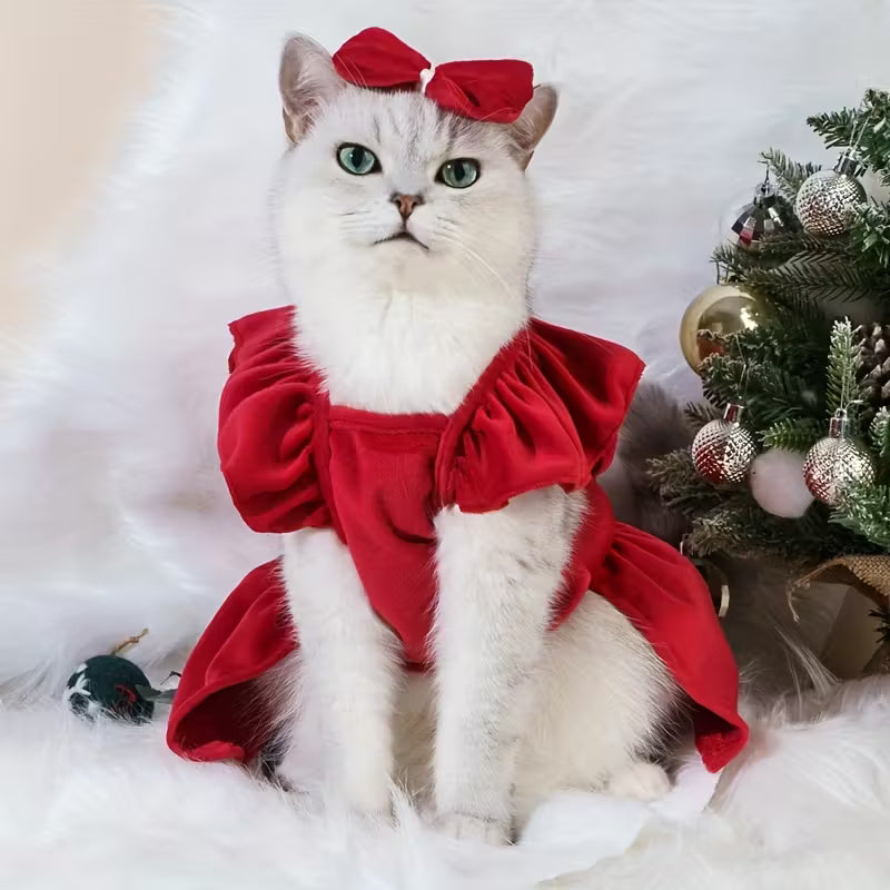 Cat Clothing and Fashion