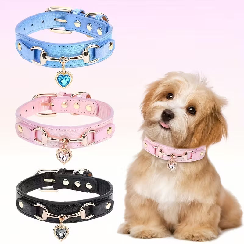 Dogs Collars, Harnesses and Leashes