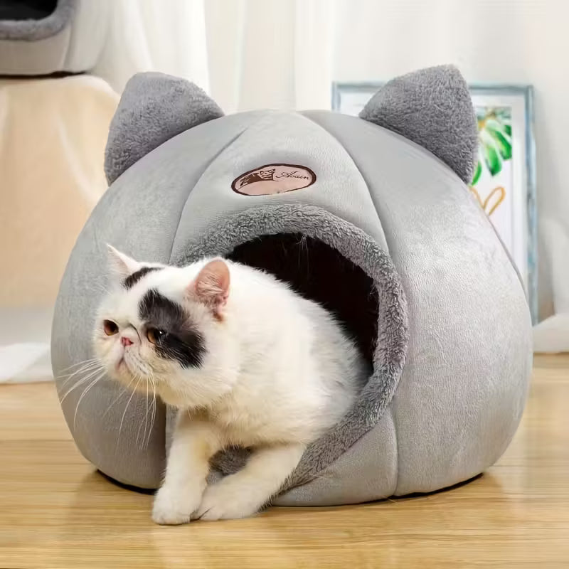 Cat Beds & Blankets