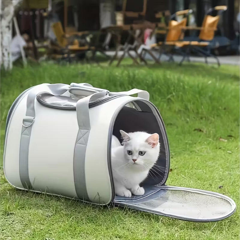 Cat Travel Essentials
