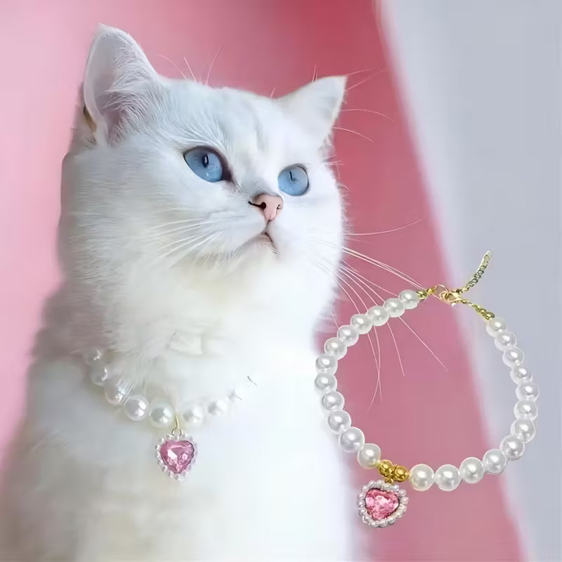 Cat Collars, Harnesses and Leashes