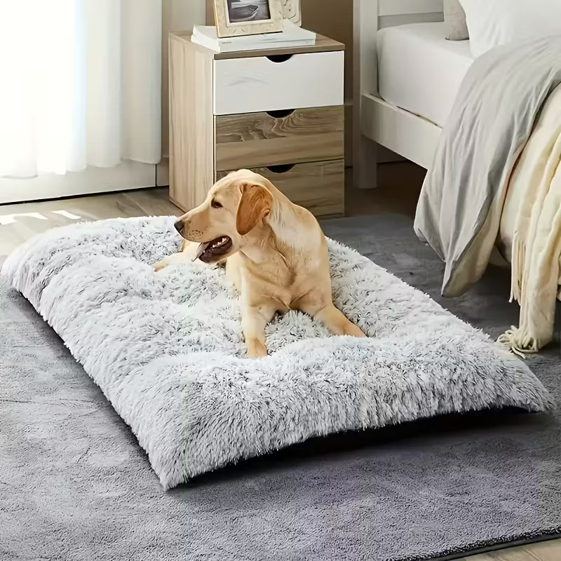 Dogs Beds and Blankets