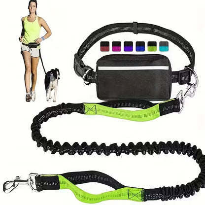 Adjustable Dog Leash & Waist Pack Combo