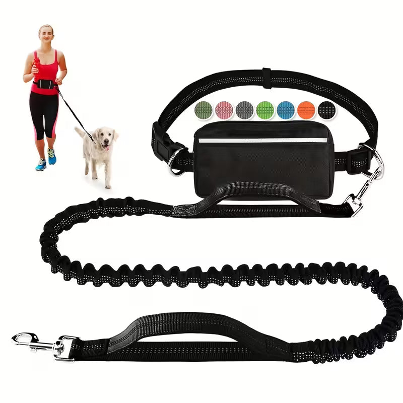 Adjustable Dog Leash & Waist Pack Combo