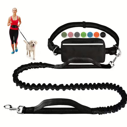 Adjustable Dog Leash & Waist Pack Combo
