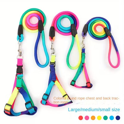 Rainbow Harness and Leash Set