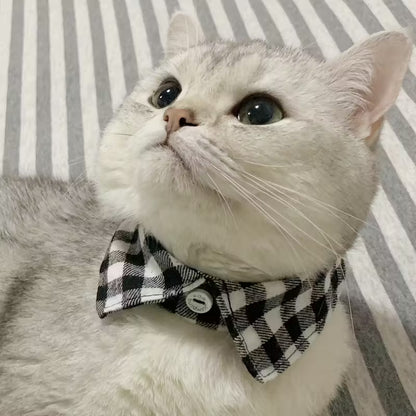 Plaid Check Pet Collar
