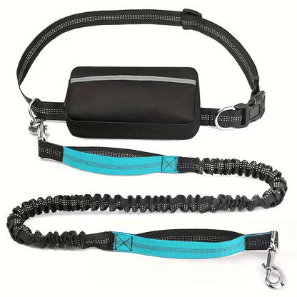 Adjustable Dog Leash & Waist Pack Combo