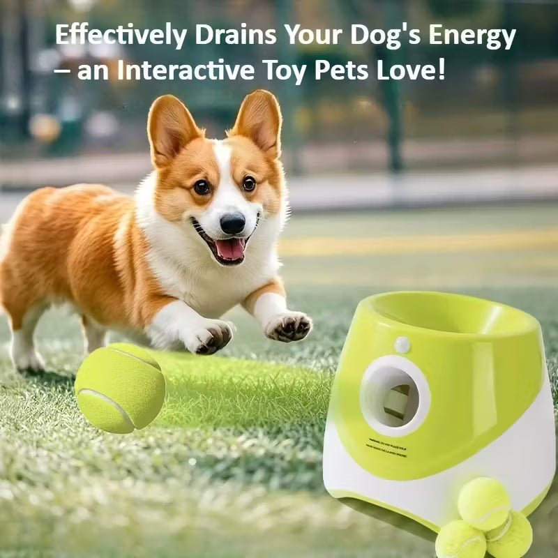 Automatic Ball Launcher for Dogs
