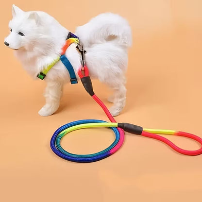 Rainbow Harness and Leash Set