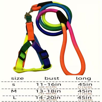 Rainbow Harness and Leash Set