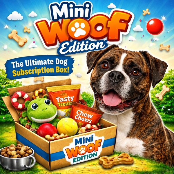 Mini Woof Dog Surprise Box (Budget)