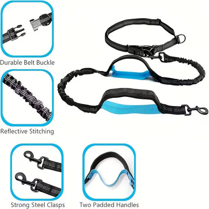 Adjustable Hands-Free Dog Running Leash with Double Handles & Elastic Retractable Rope