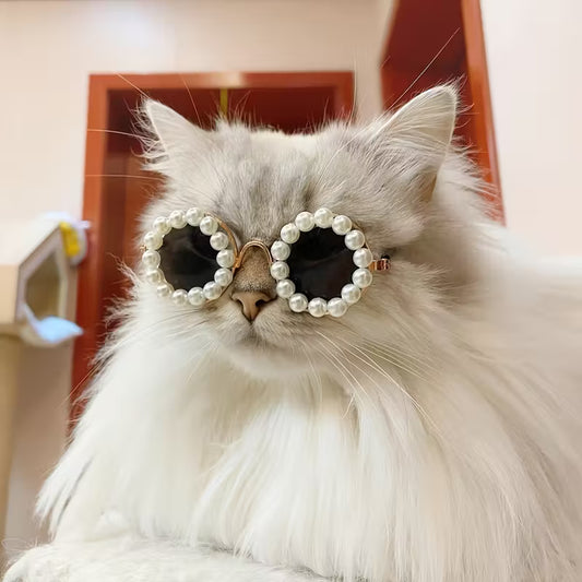 PawPals Pearl Pet Glasses