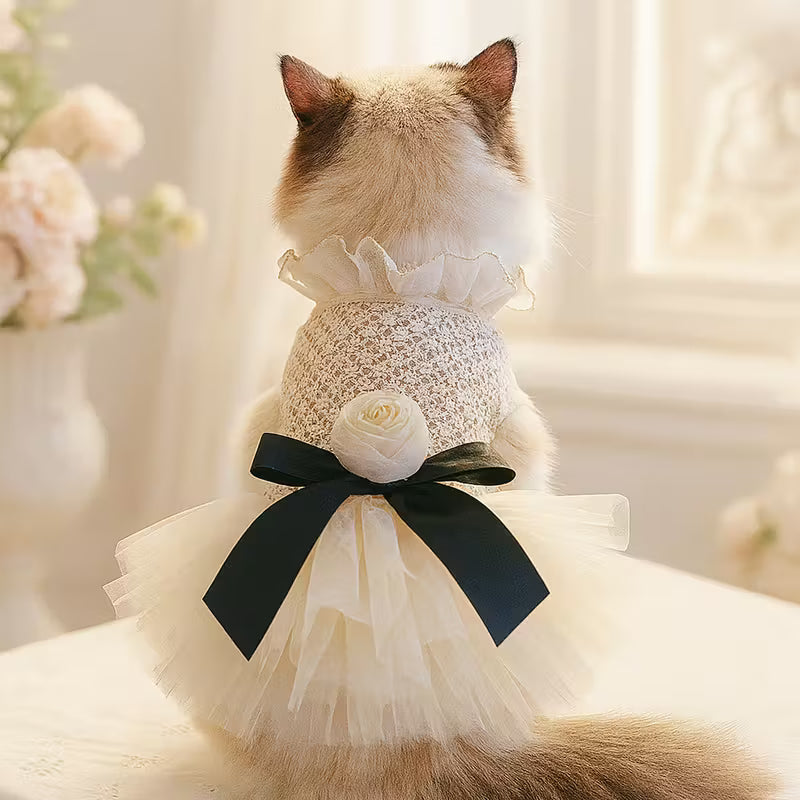 Pearl Wedding Dress for Pet with Floral Bow