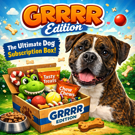 GRRRR Dog Surprise Box (Premium)