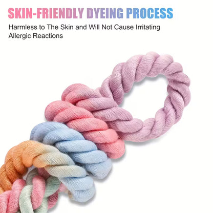 Strong & Stylish Braided Rope Dog Leash
