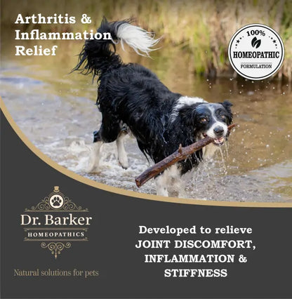 Arthritis & Inflammation